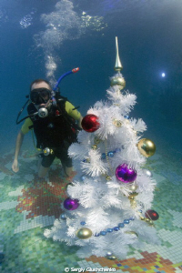 New diver - New Year 2012 by Sergiy Glushchenko 